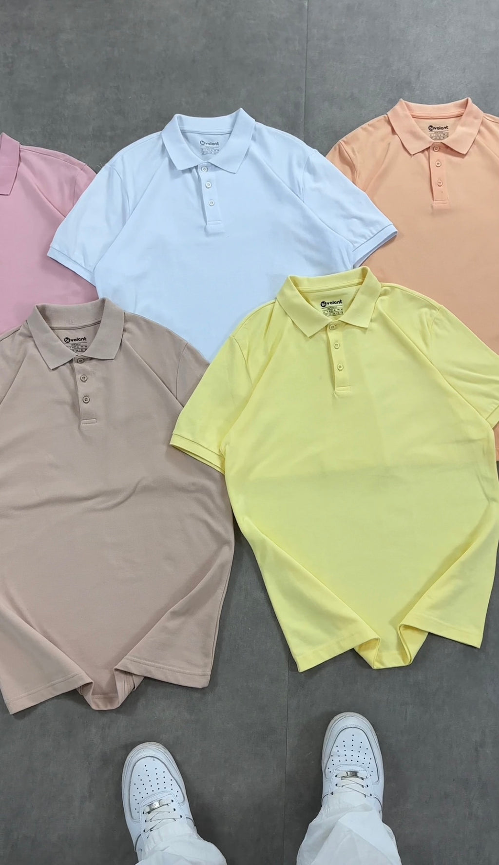 Polo demi manche ( regular )