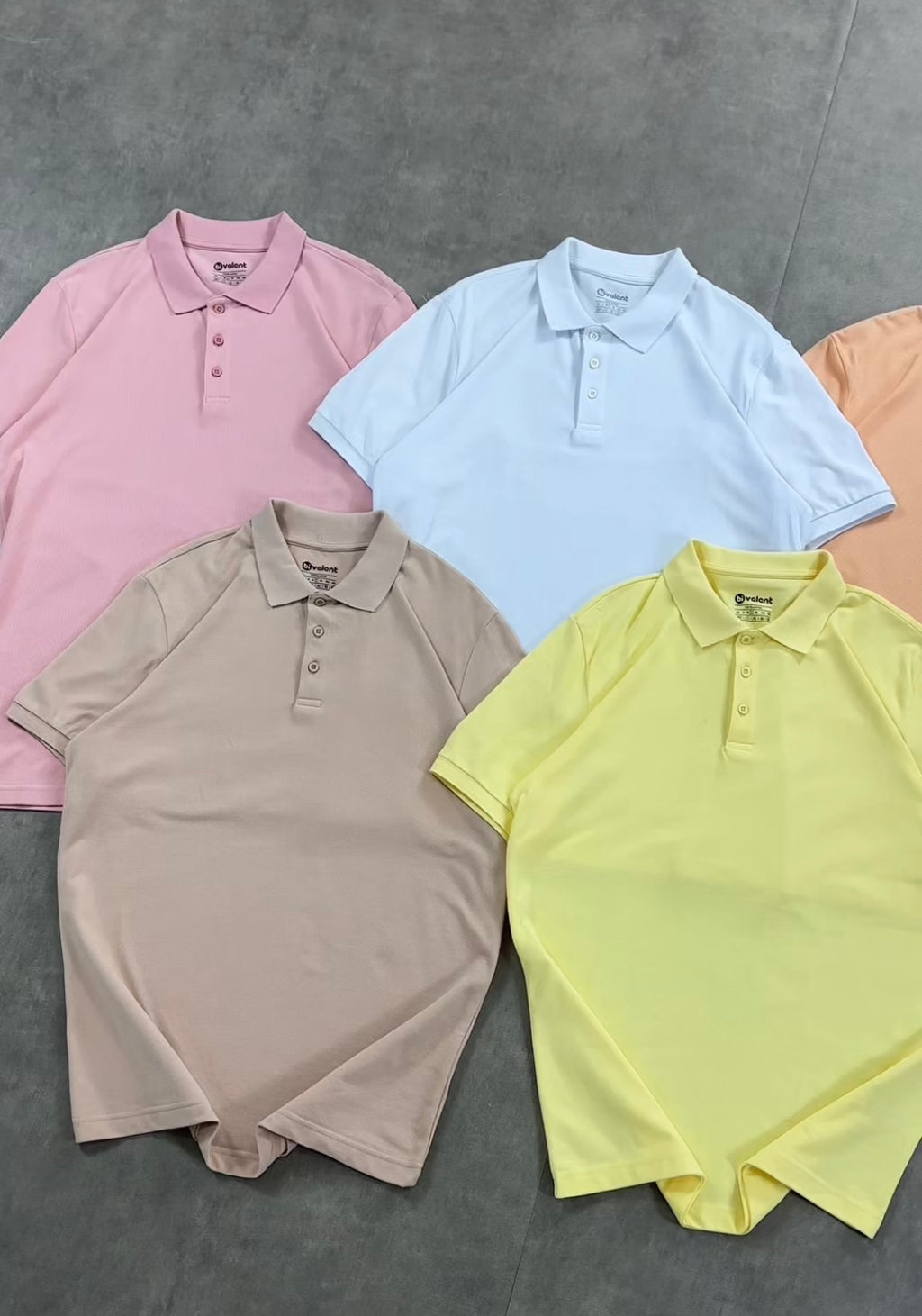 Polo demi manche ( regular )