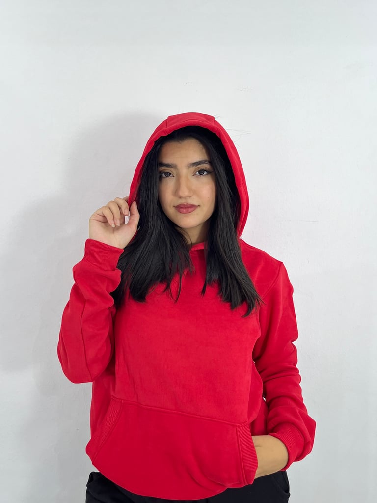 Hoodie premium ( Regular )